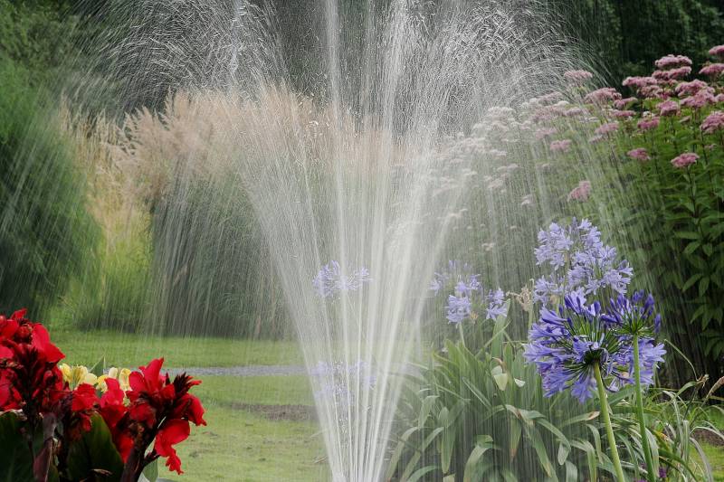 Jet d'eau puissant au centre d'un jardin coloré, entouré d'agapanthes bleues, de cannas rouges, et de hautes herbes claires.