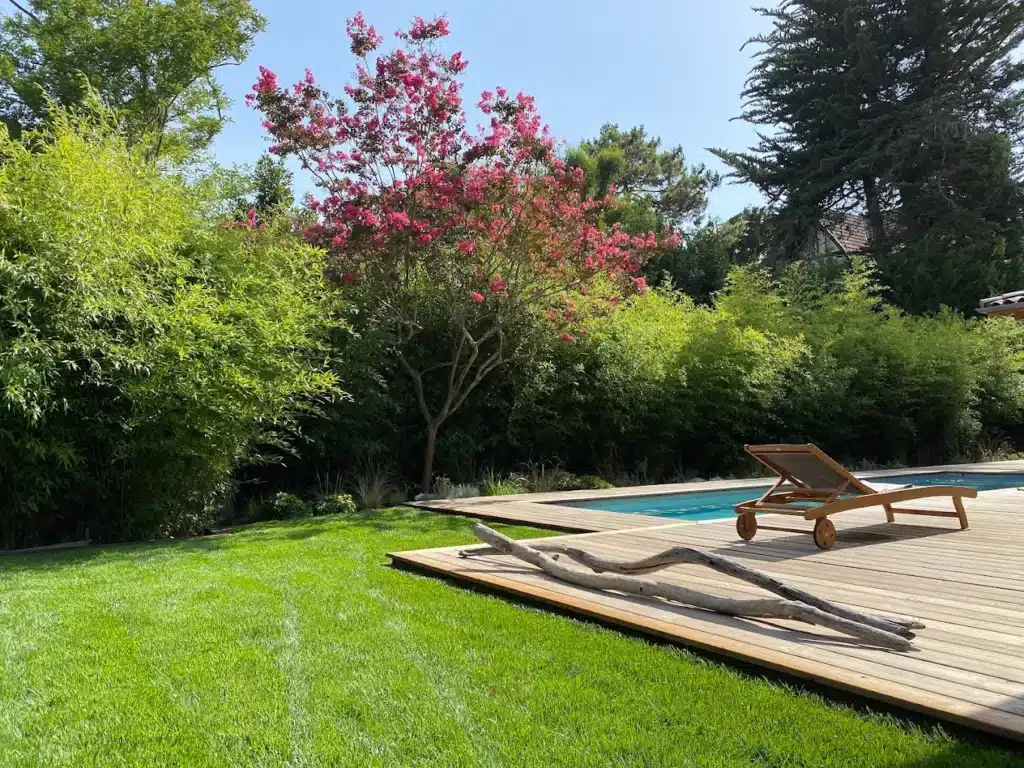 Piscine ensoleillée dans un jardin verdoyant. Terrasse en bois, chaise longue, pelouse tondue, et arbre aux fleurs roses éclatantes.