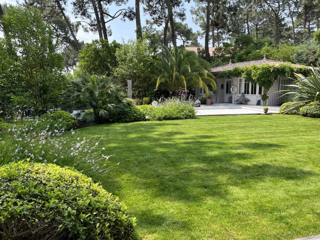 Jardin luxuriant : pelouse parfaite, palmiers et pavillon d'été. Jardin luxuriant avec pelouse rayée et palmiers. Une allée mène à une maison de style cabane en bois clair, entourée de pins maritimes.