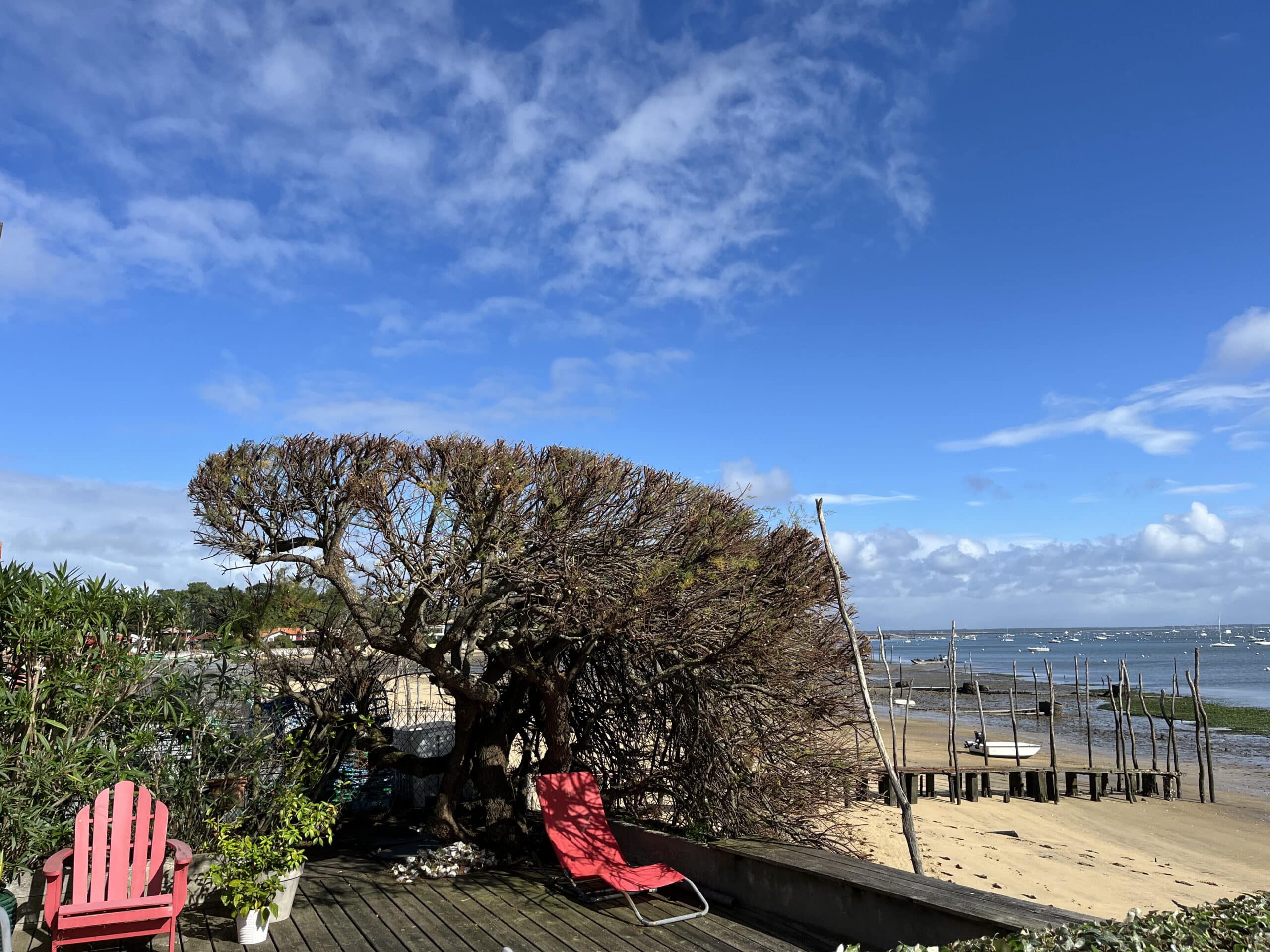 Terrasse en bois, chaises rouges et arbre taillé surplombant une plage de sable. Pilotis ostréicoles et bateaux sous ciel bleu.